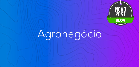 Transformação Digital: peça-chave para a evolução do agronegócio