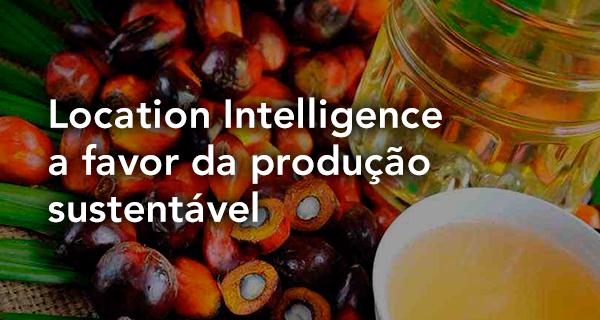 Location Intelligence a favor da produção sustentável