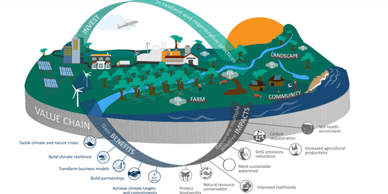 Fluxograma com investimentos em práticas de resiliência, geração de múltiplos impactos positivos na comunidade, diversos ganhos para sociedade que retorna na cadeia de valor