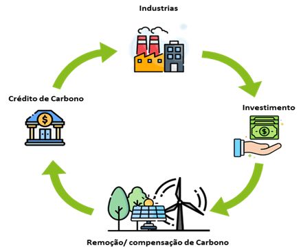 Fluxograma com indústrias, investimentos, remoção/compensação de carbono e crédito de carbono