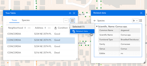 Painel de Treel Table e Related Data