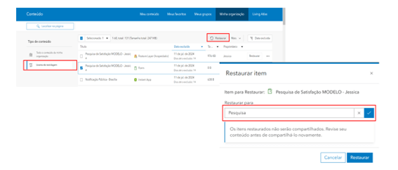 Captura de tela do ArcGIS Online exibindo a janela de exclusão de itens, com a opção de enviar itens para a lixeira ou excluí-los permanentemente. A imagem enfatiza que a exclusão permanente não pode ser desfeita.