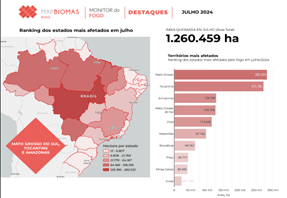 Mapa do Brasil destacando os estados mais afetados por queimadas em julho de 2024. O Mato Grosso do Sul, Tocantins e Amazonas aparecem no topo do ranking. À direita, um gráfico de barras apresenta a área total queimada, somando 1.260.459 hectares, com os estados mais afetados listados.