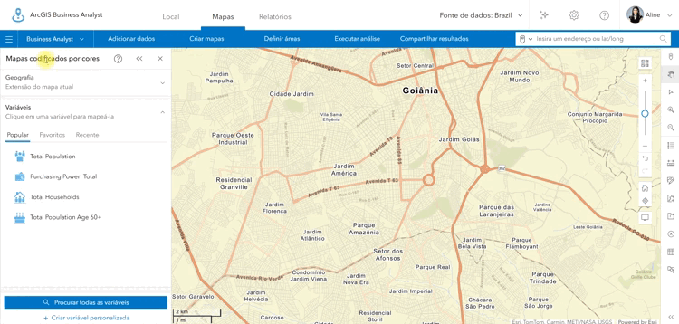 Painel de variáveis do ArcGIS Business Analyst com destaque para população total e poder de compra