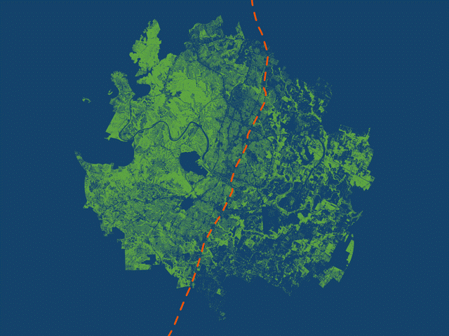 Mapa animado mostrando a cobertura arbórea em Austin, Texas, com destaque para a rodovia I-35 em laranja tracejado, evidenciando a desigualdade de vegetação entre o leste e o oeste da cidade.